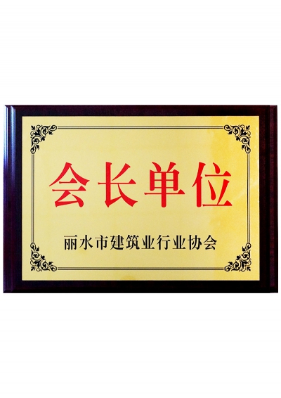 麗水市建筑業行業協會會長單位